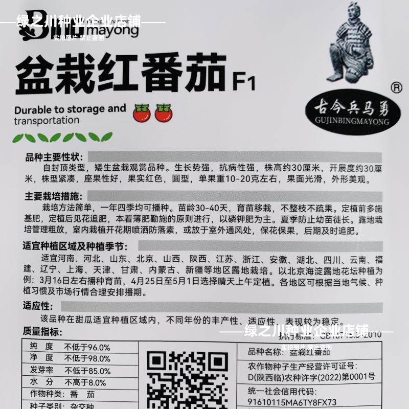 盆栽红番茄种子四季阳台种籽室内矮生西红柿樱桃圣女蔬菜水果