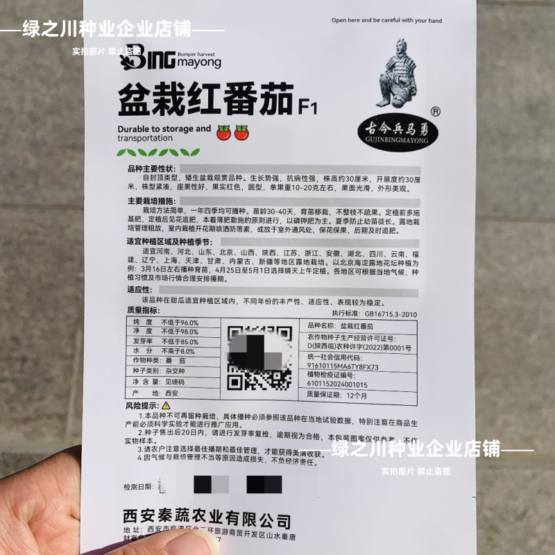 盆栽红番茄种子四季阳台种籽室内矮生西红柿樱桃圣女蔬菜水果