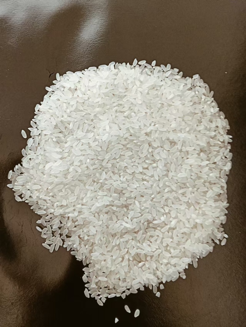 干净卫生龙稻大米好吃软糯欢迎前来咨询