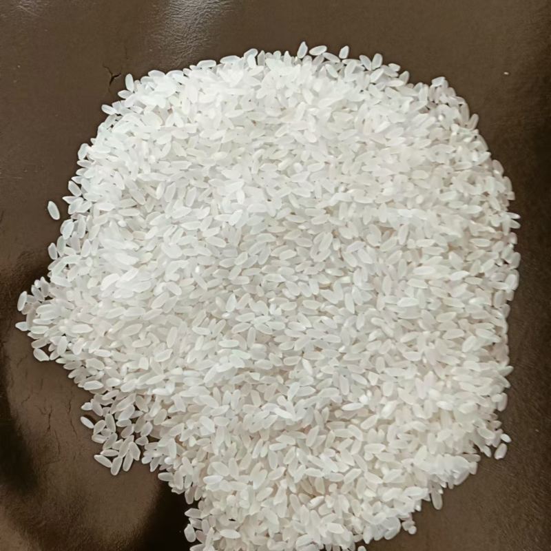 干净卫生龙稻大米好吃软糯欢迎前来咨询