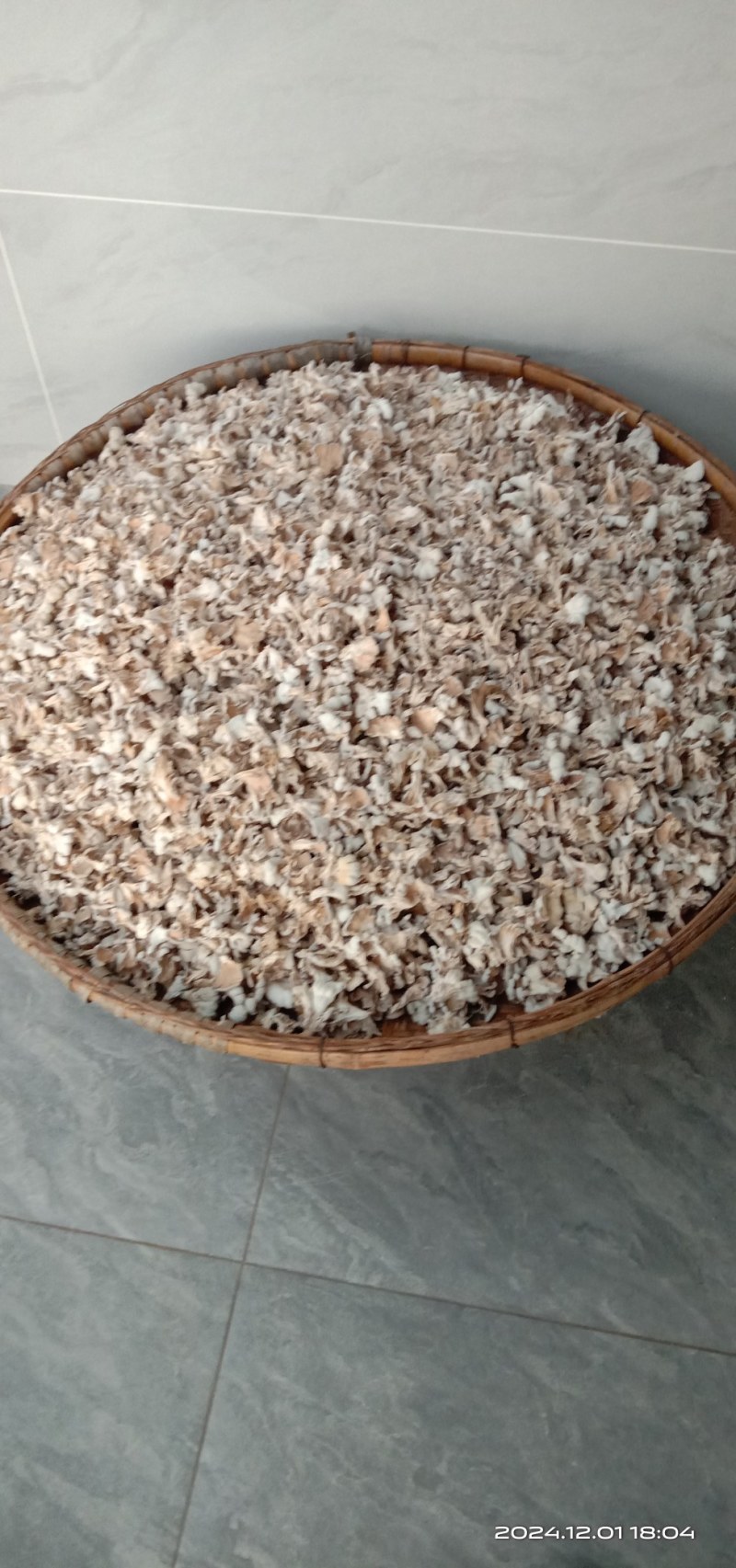 干白参菌，品质好价优