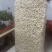 福建产地精品竹荪，全国代收代卖，货量充足稳定供货