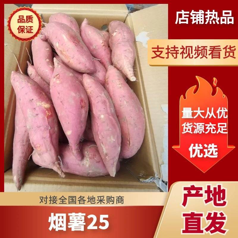 【冰点价】河北雄县烟薯25一手货源条形好无伤大小规格都有