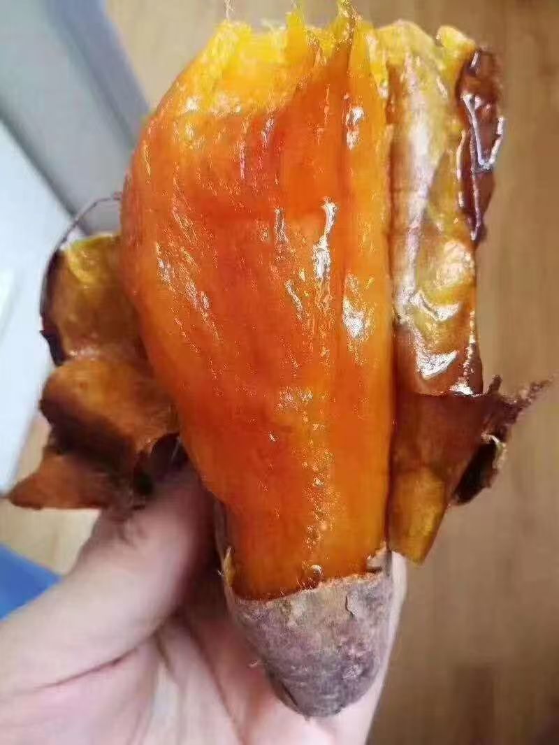 【冰点价】河北雄县烟薯25一手货源条形好无伤大小规格都有