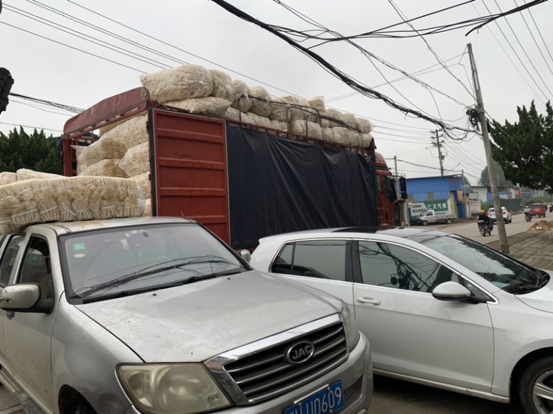 福建产地精品竹荪，全国代收代卖，货量充足稳定供货