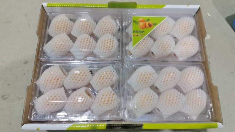 云南蒙自枇杷