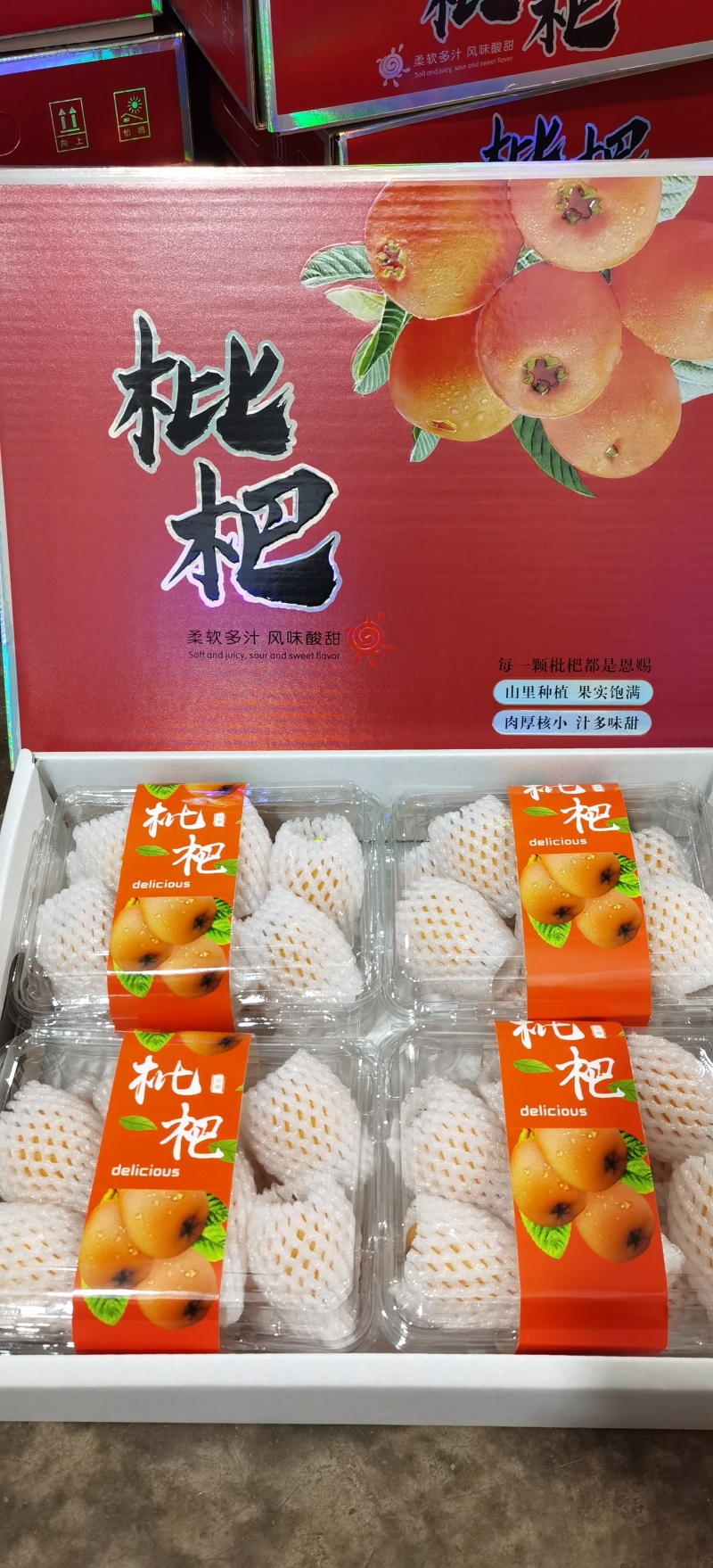 云南蒙自枇杷
