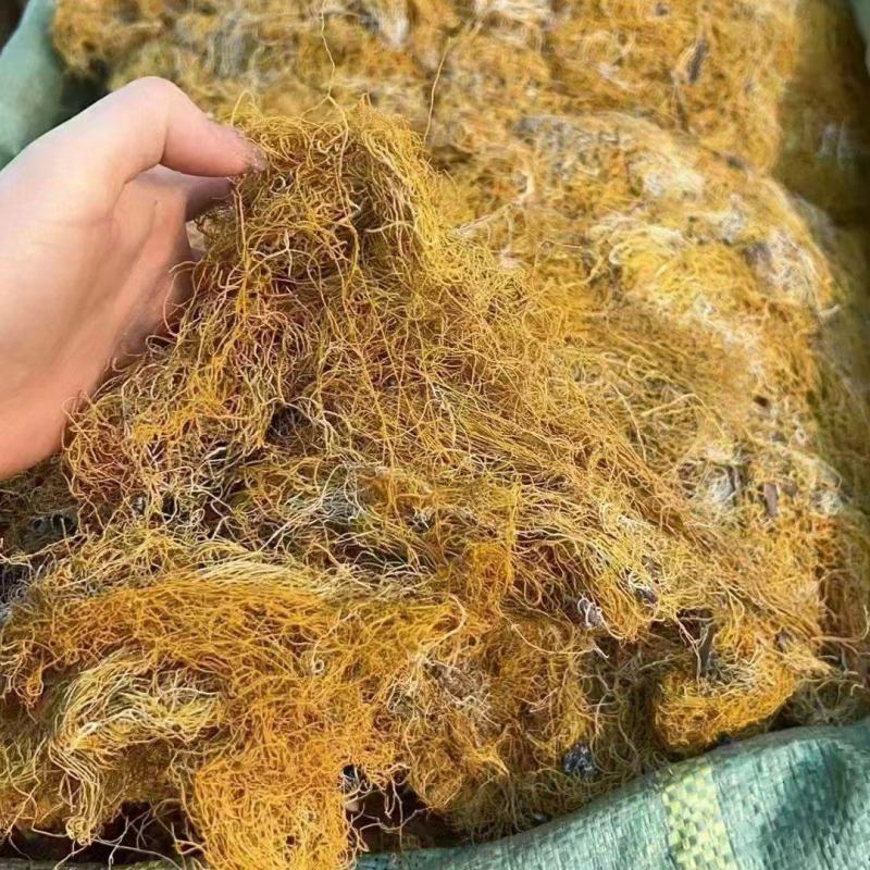 红雪茶各种花茶批发一手货源产地直销需要的老板直接下单就可