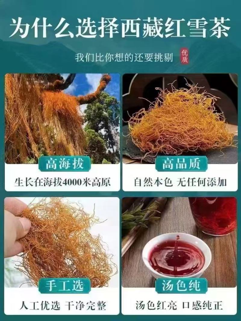 红雪茶各种花茶批发一手货源产地直销需要的老板直接下单就可