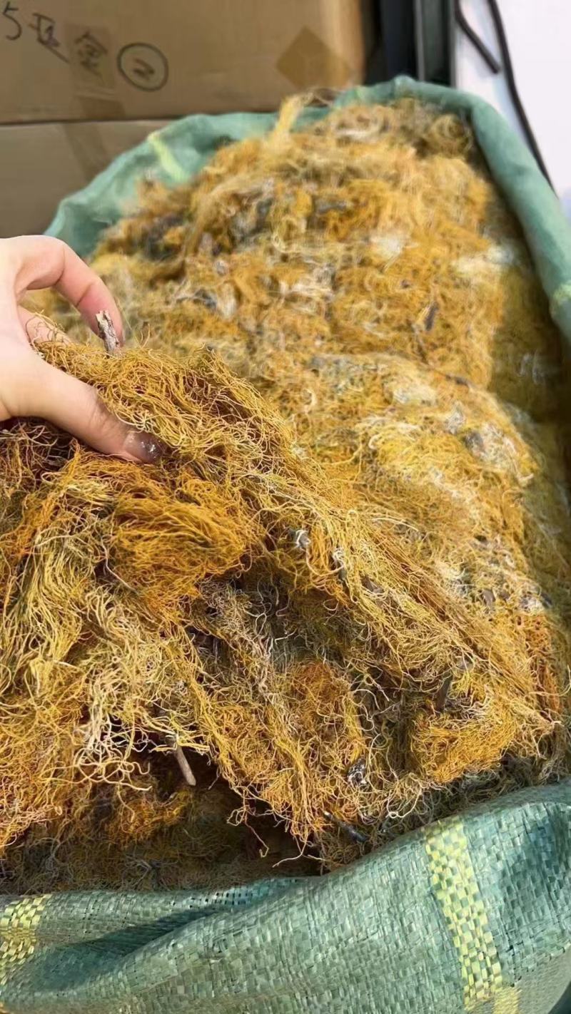 红雪茶各种花茶批发一手货源产地直销需要的老板直接下单就可