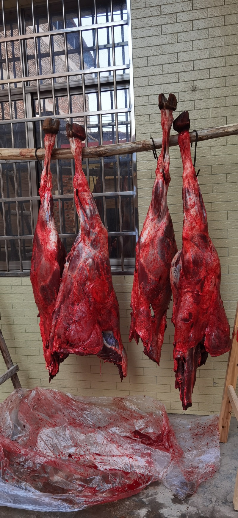 本地黄牛牛肉