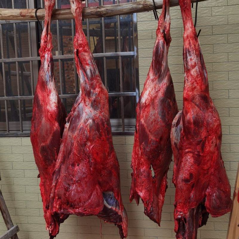 本地黄牛牛肉
