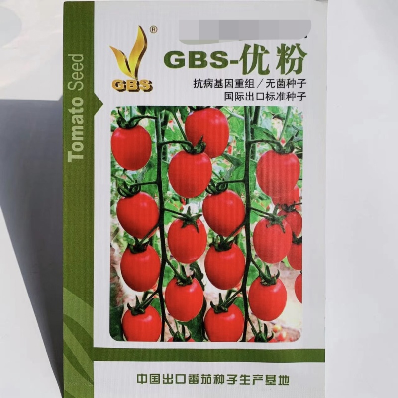 GBS优粉小番茄种子樱桃番茄种子含糖量高水果番茄种子