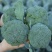 【品类齐全】西兰花大量供应-对接全国市场商超-视频看货