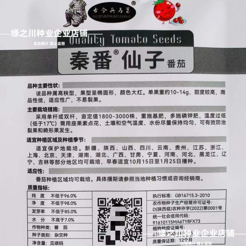 秦番仙子千禧番茄瀑布番茄种子甜度高圣女果种子水果番茄种子