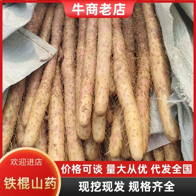 【精选】河北山药铁棍山药味道甜香产地大量供应