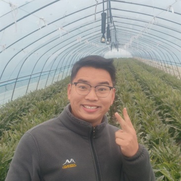 江苏莴笋产地源头直发，贴心的服务，优质的产品！