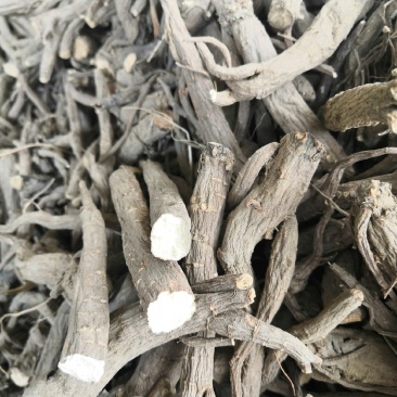 供应白芍干条货，自产自销，一手货源，，，