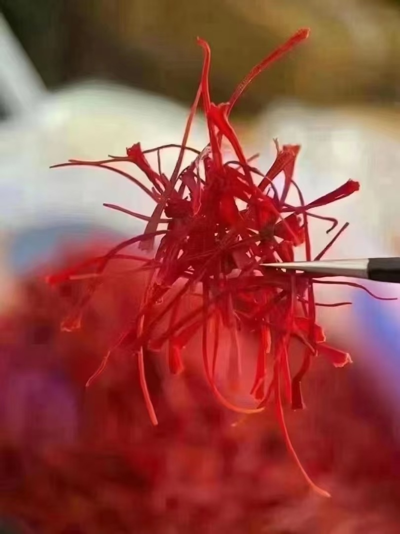 藏红花一手货源质量保证现货秒发