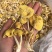 鸡油菌价格便宜一手货源质量保证