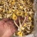 鸡油菌价格便宜一手货源质量保证