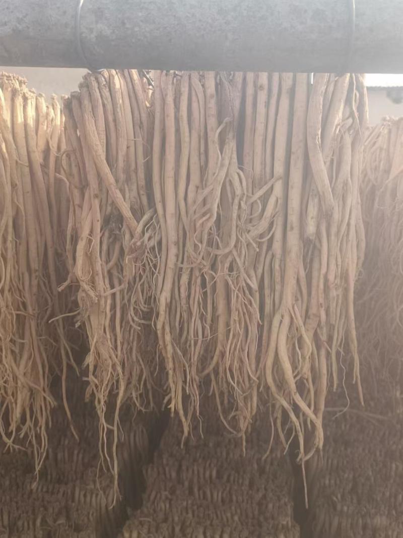 岷县精品无硫党参，产地发货，高山高海拔种植，可视频看货。