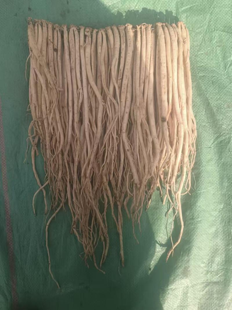 岷县精品无硫党参，产地发货，高山高海拔种植，可视频看货。