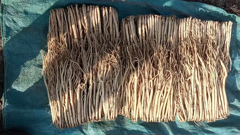 岷县精品无硫党参，产地发货，高山高海拔种植，可视频看货。