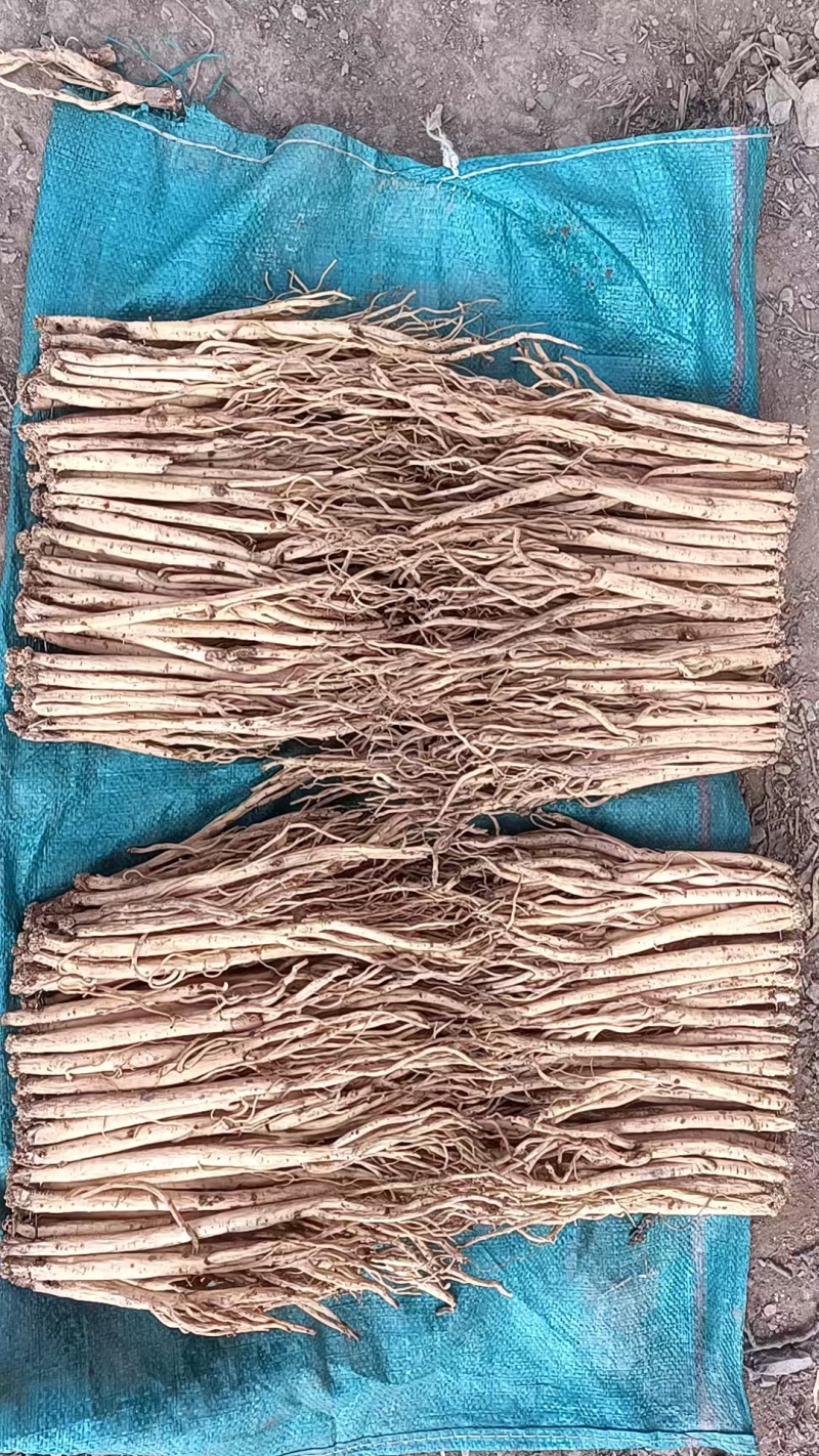 岷县精品无硫党参，产地发货，高山高海拔种植，可视频看货。