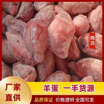 精品羊蛋，各种规格，鲜冻，厂家直销，一手货源