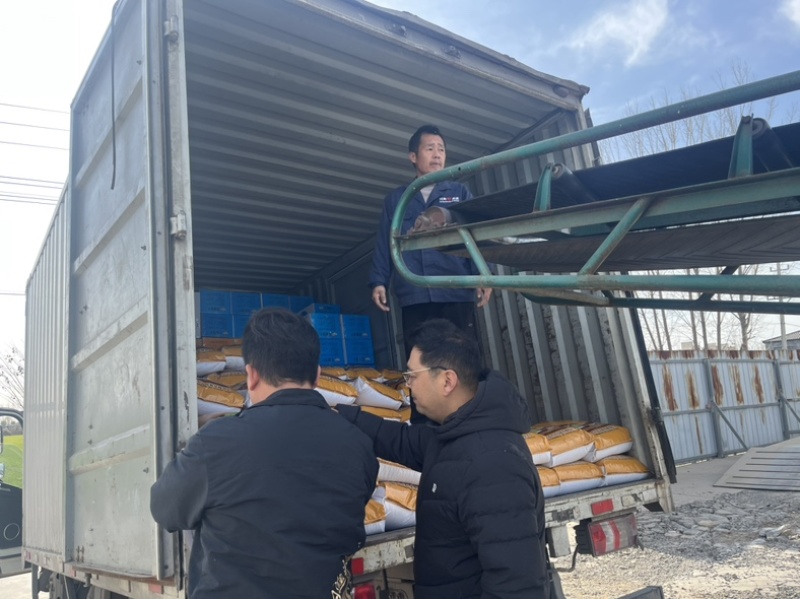 黑小麦小麦黑小麦面自产自销，黑小麦黑麦可发芽