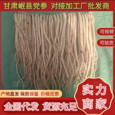岷县精品无硫党参，产地发货，高山高海拔种植，可视频看货。