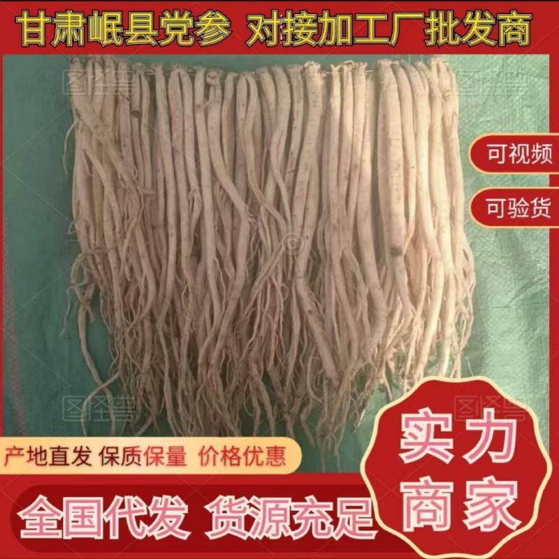 岷县精品无硫党参，产地发货，高山高海拔种植，可视频看货。