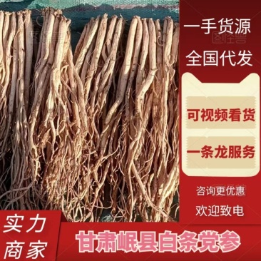 岷县精品无硫党参，产地发货，高山高海拔种植，可视频看货