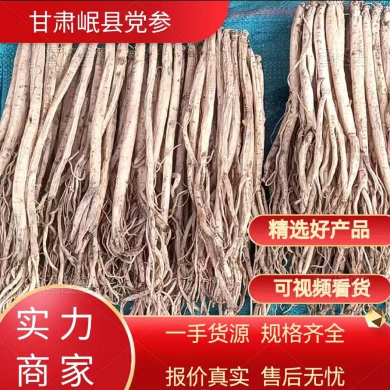岷县精品无硫党参，产地发货，高山高海拔种植，可视频看货