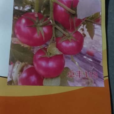 硬粉番茄卓丰118