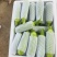 绿皮西葫芦大量供应对接商超市场欢迎电话联系