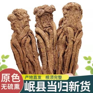 甘肃岷县当归自产自销货源充足产地直发，可视频看货。