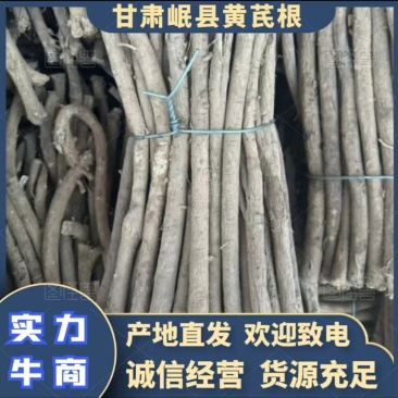 甘肃岷县黄芪一手货源产地直发货源充足欢迎订购