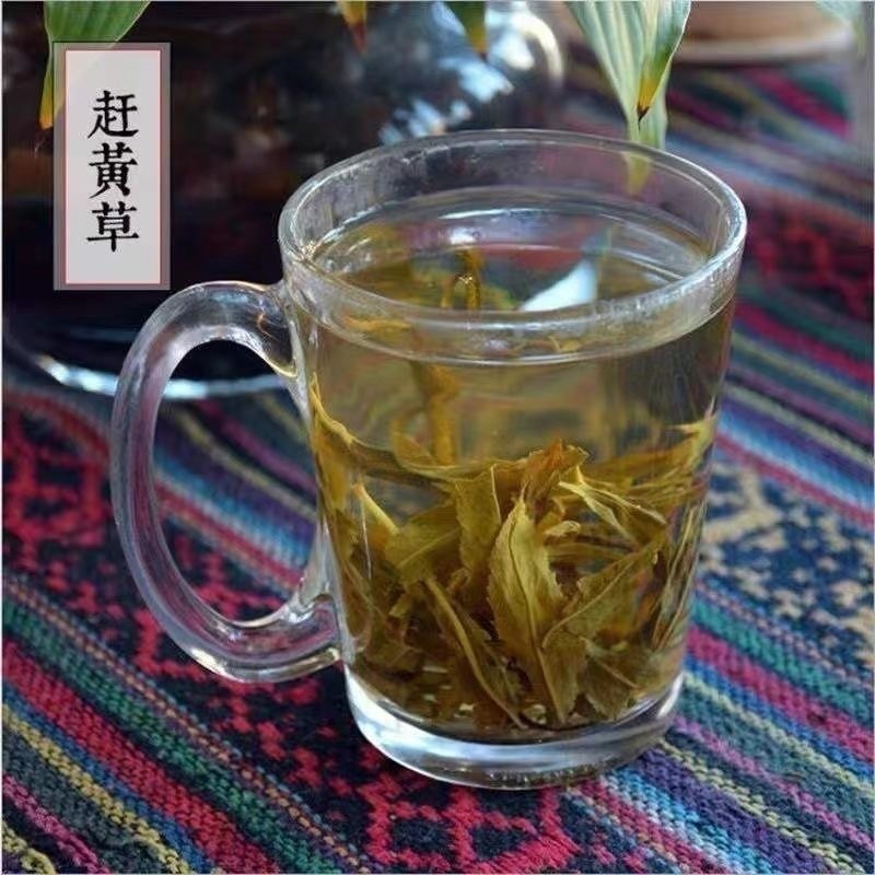 四川赶黄草中药材正品泡茶泡水喝养