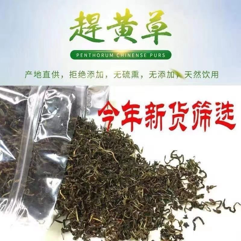 四川赶黄草中药材正品泡茶泡水喝养