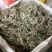 车前草，甘肃纯野生，整株车前草，颜色清含量高