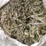 车前草，甘肃纯野生，整株车前草，颜色清含量高
