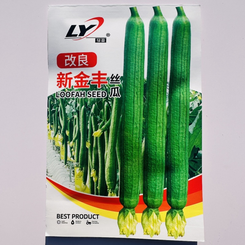寿光改良新金丰丝瓜种子特长丝瓜种子中绿丝瓜种籽早熟高产