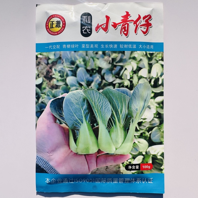 利农广东小青仔种子四季矮椒小颗上海青青梗菜种子靓仔小青菜
