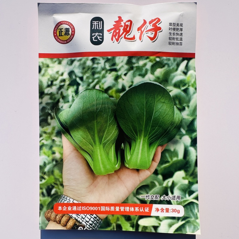利农广东小青仔种子四季矮椒小颗上海青青梗菜种子靓仔小青菜