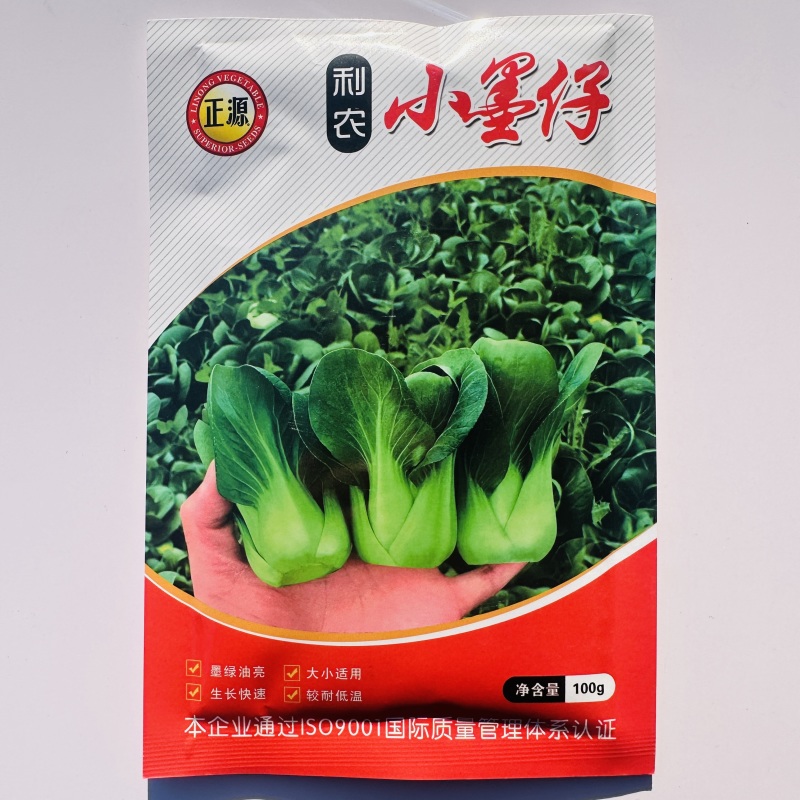 广东小墨仔青梗菜种子小型上海青油菜种籽宁夏小青菜种子