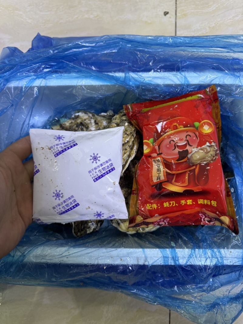 精品礼盒4+，手工挑拣，盐度30净化24h，口感鲜甜