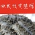 精品半干海参2025质量保证量大从优质量保证欢迎咨询