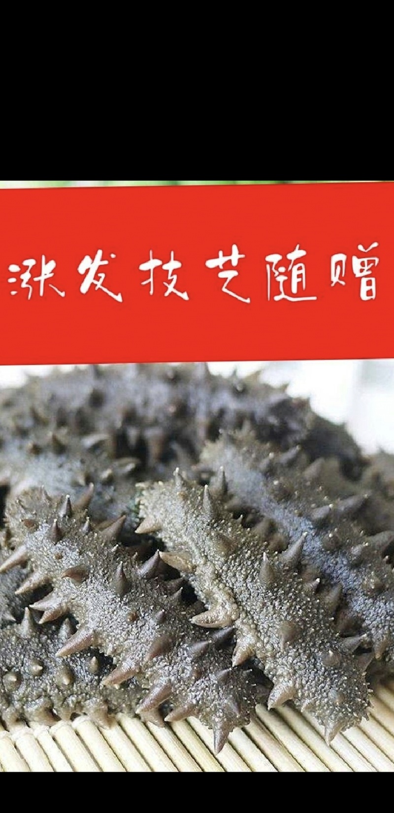精品半干海参2025质量保证量大从优质量保证欢迎咨询